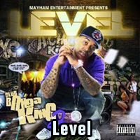 Level